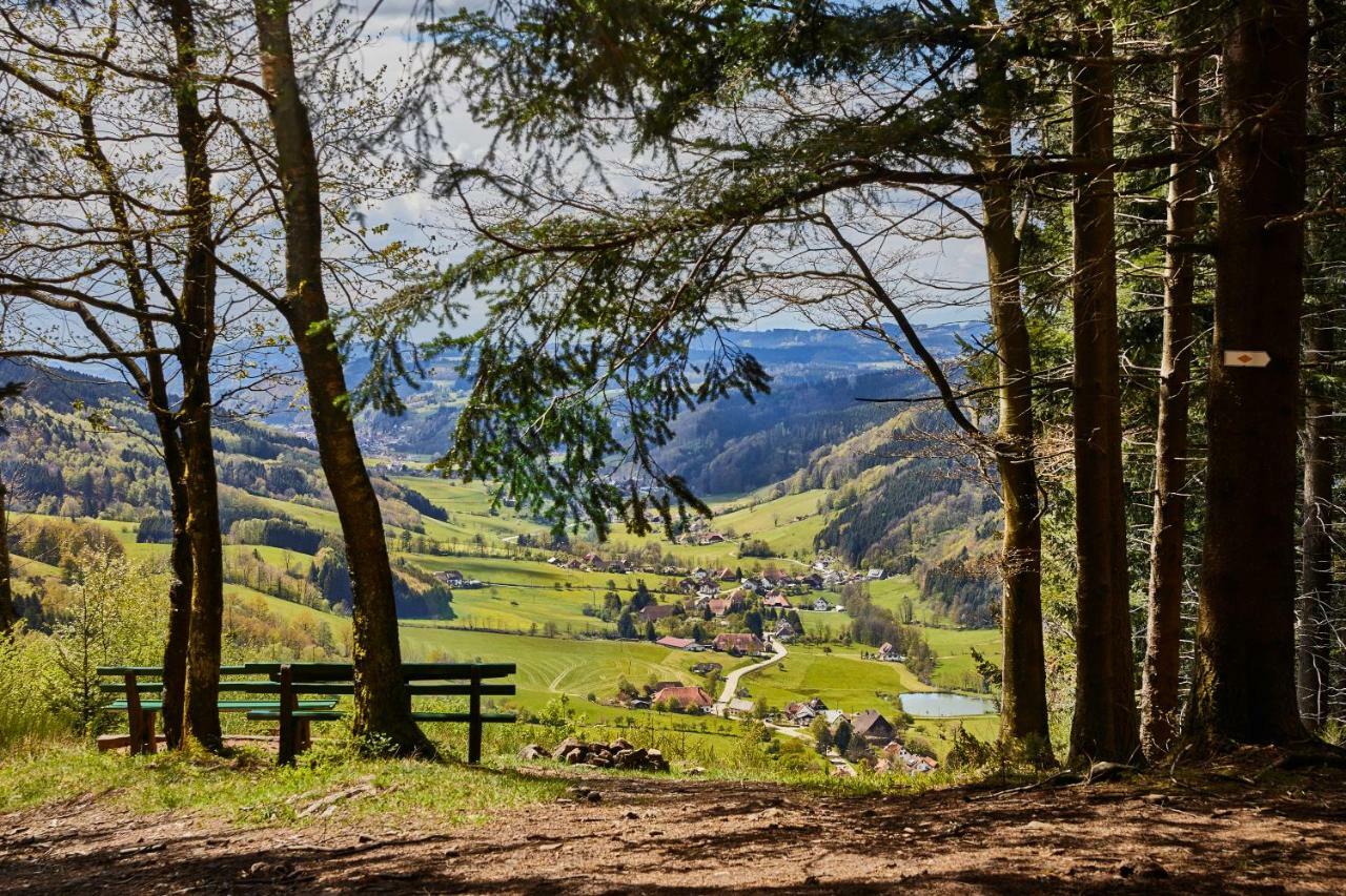 Elzland Hotel Pfauen Wellness & Spa Elzach Kültér fotó